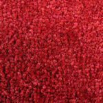 ColorStar Solid Red-21