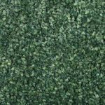 ColorStar Glen Green-29