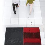 waterhog_plus_-_demo_with_carpeted_mat_-__1