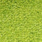 ColorStar Impressions 14