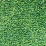 ColorStar Impressions 17