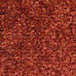 ColorStar Impressions 41